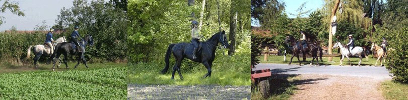 Petra Anytime und Steffi